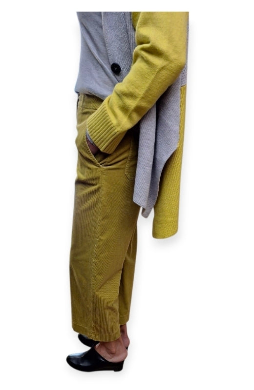Pantalone in velluto