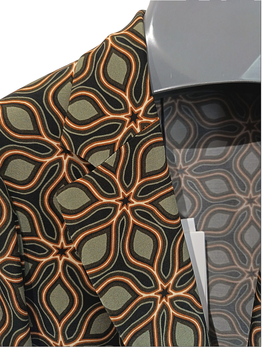 Blazer fantasia