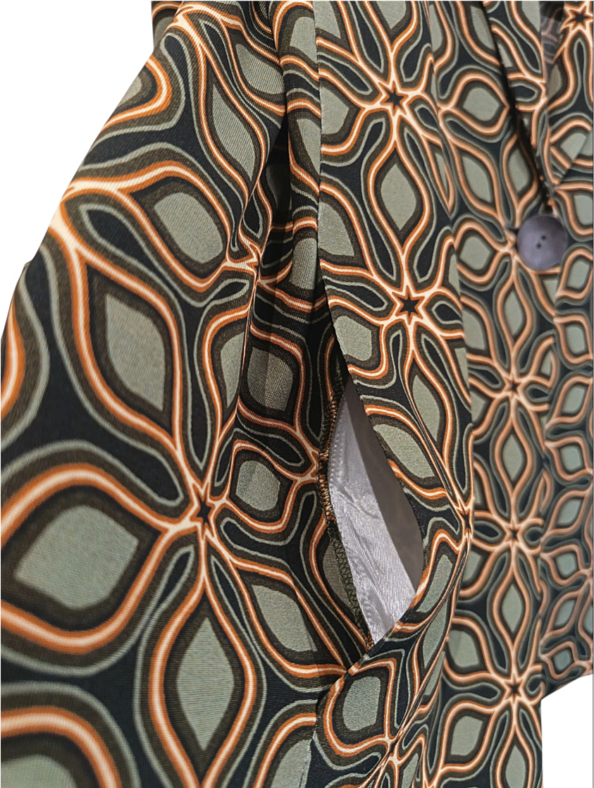 Blazer fantasia